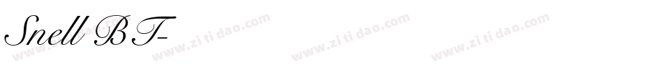 Snell BT字体转换